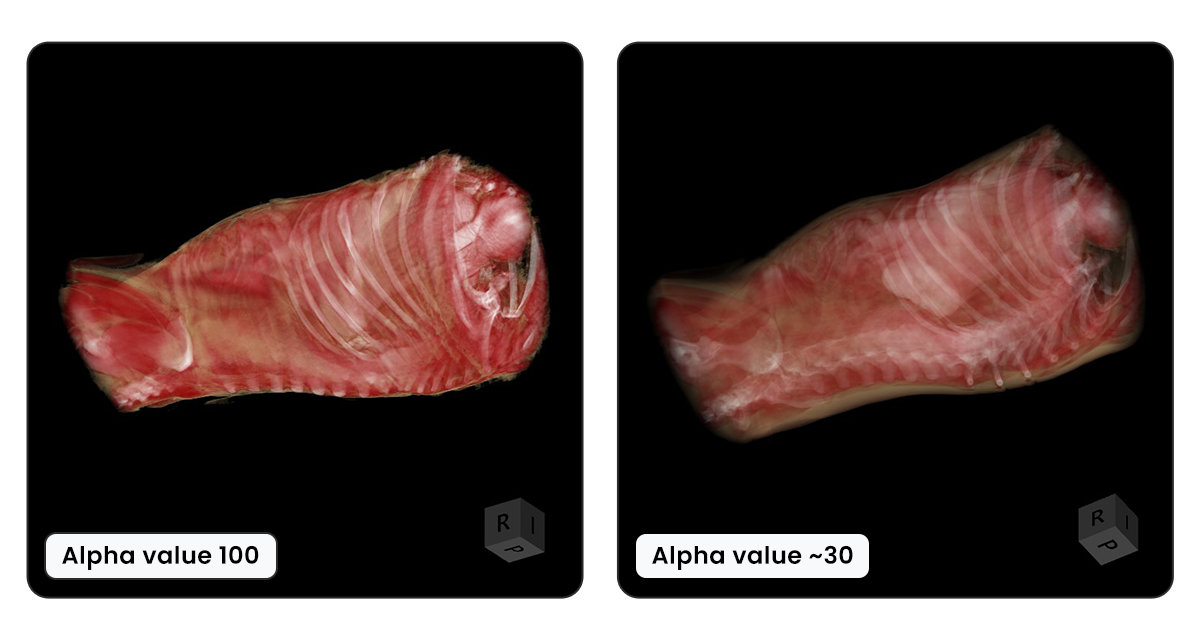 ../../_images/alpha-value.png